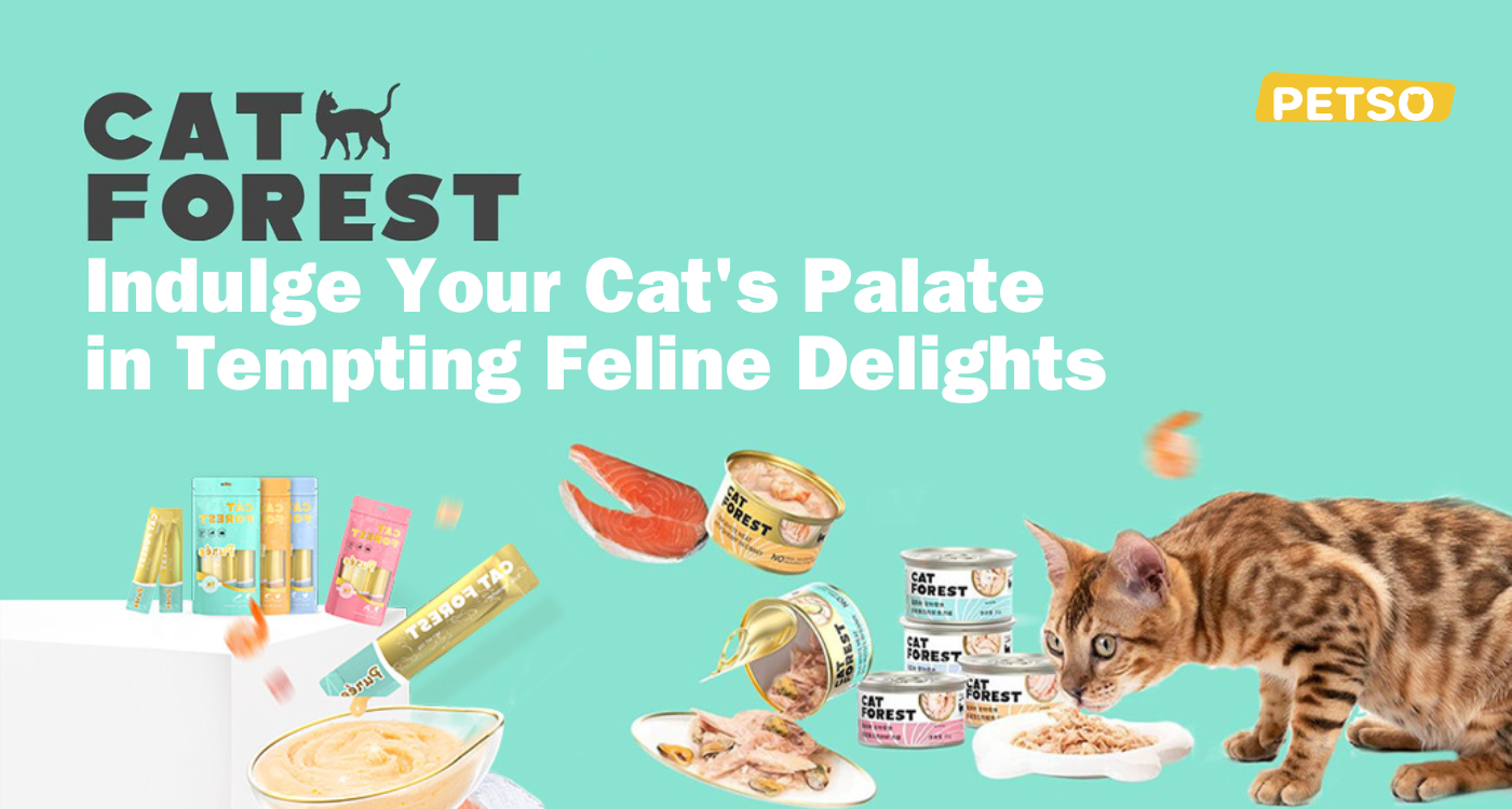 Cat Forest Treat Your Cat to Tempting Feline Delights Blog Petso