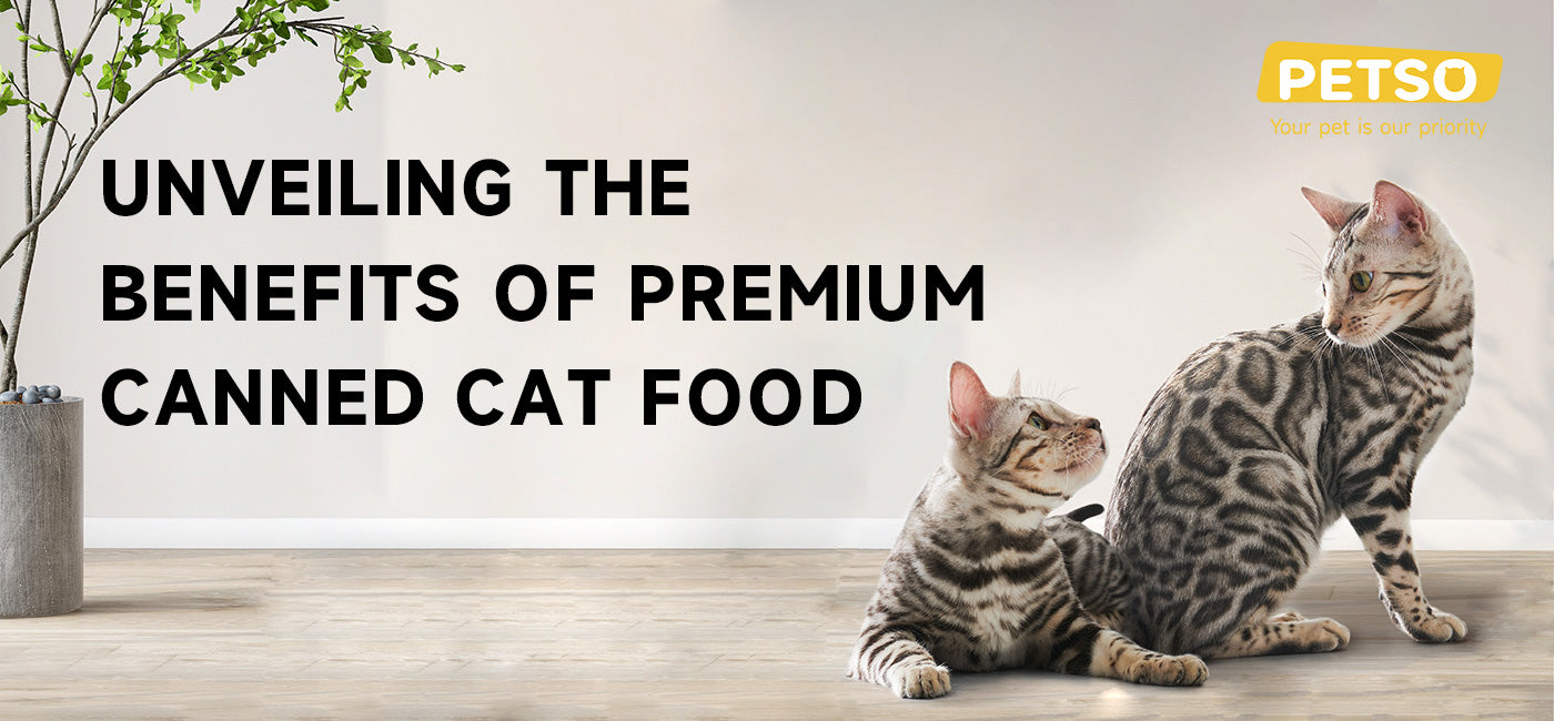 What are the Benefits of Canned Cat Food Petso Australia