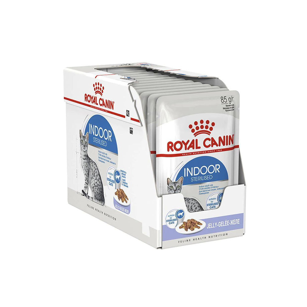 ROYAL CANIN Indoor Jelly Adult Wet Cat Food 85g x 12 Wet Cat