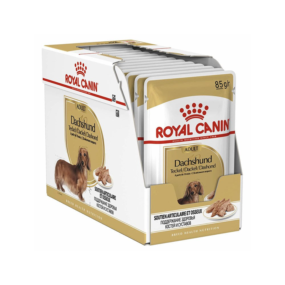 Dachshund puppy outlet royal canin