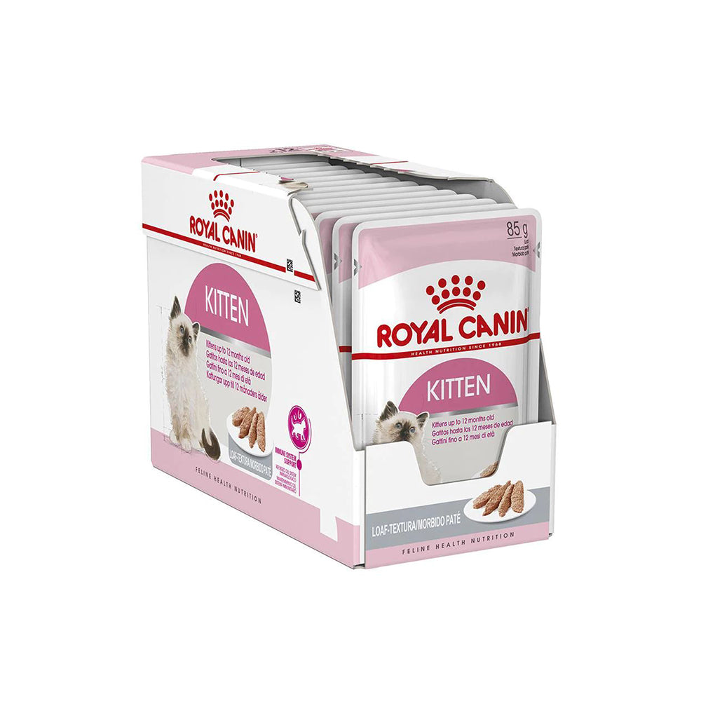 Royal canin kitten shops pate