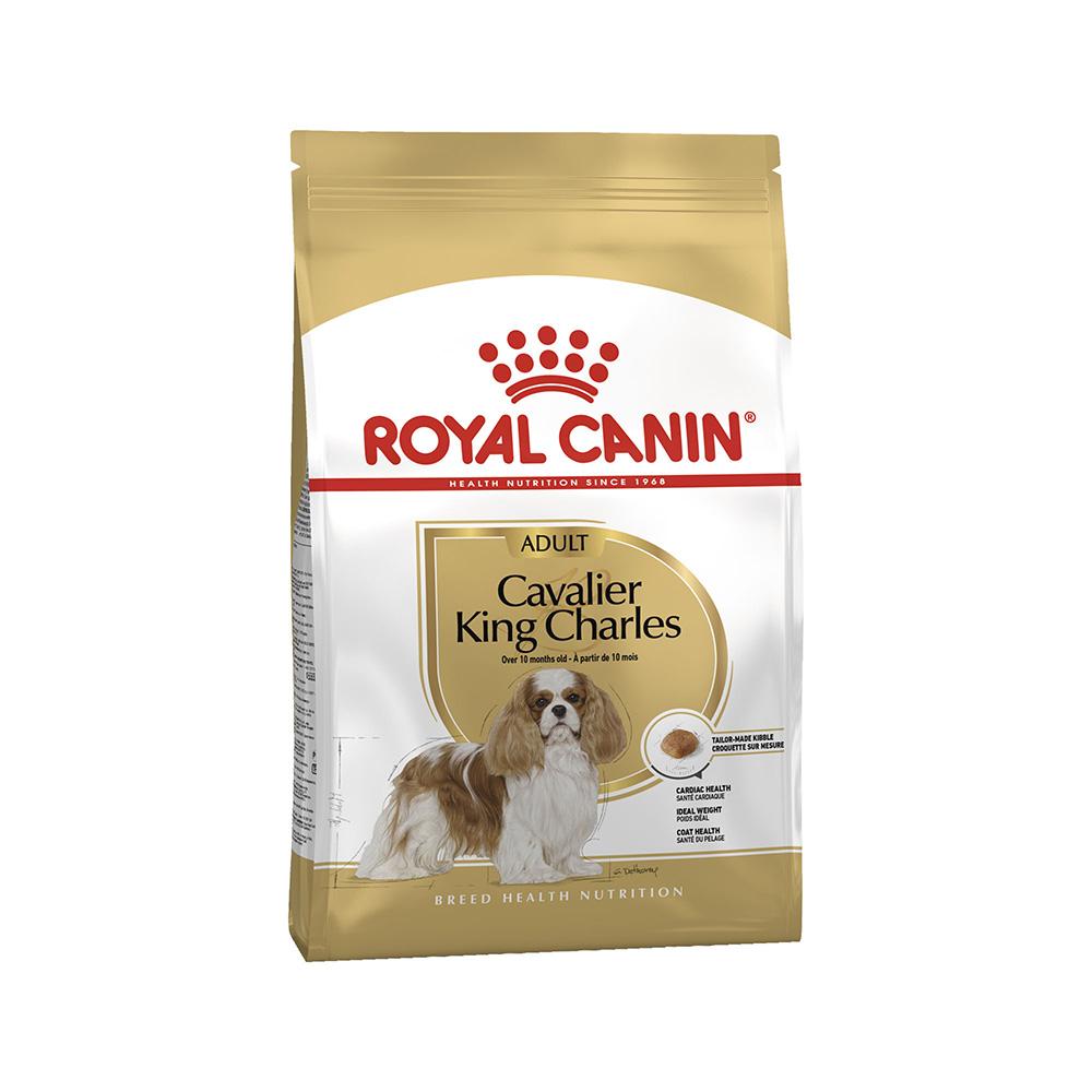 Cavalier king charles shop spaniel puppy food