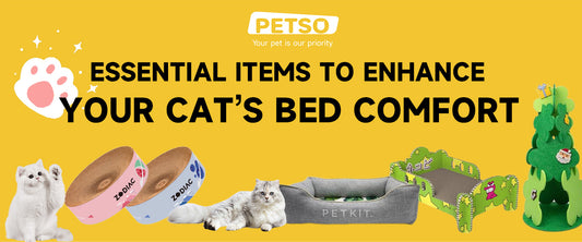 Essential Items to Enhance Your Cat's Comfort: Must-Have Accessories Before Buying a Cat Bed