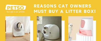 Reasons Cat Owners Must Buy a Litter Box