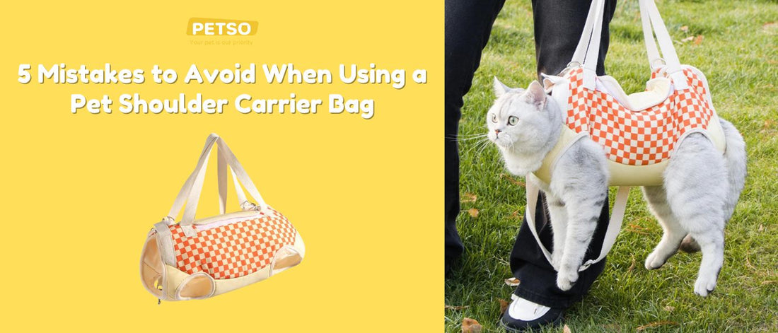 5 Mistakes to Avoid When Using a Pet Shoulder Carrier Bag