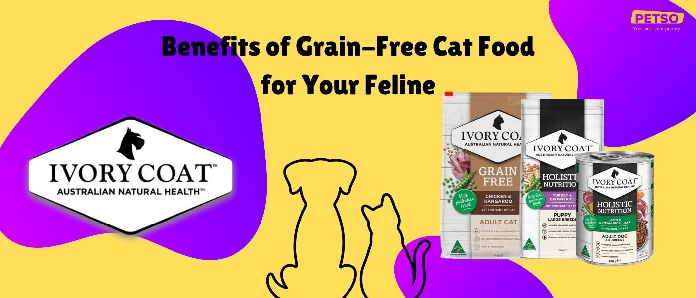 Benefits of Grain Free Cat Food for Your Feline Petso