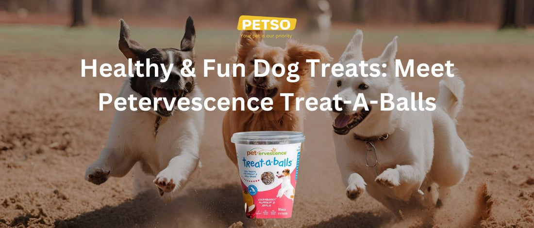 Healthy & Fun Dog Treats: Meet Petervescence Treat-A-Balls