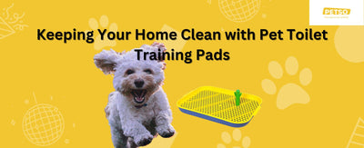 Keeping your home clean with pet toilet training pads
