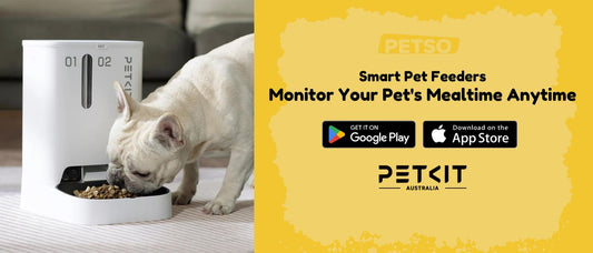 Smart Pet Feeders