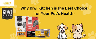 Why Kiwi Kitchen is the Best Choice for Your Pet's Health
