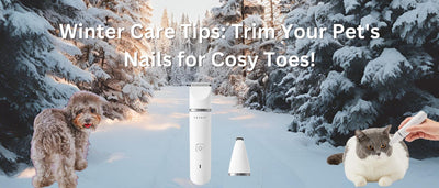 Winter Care Tips: Trim Your Pet's Nails for Cosy Toes!