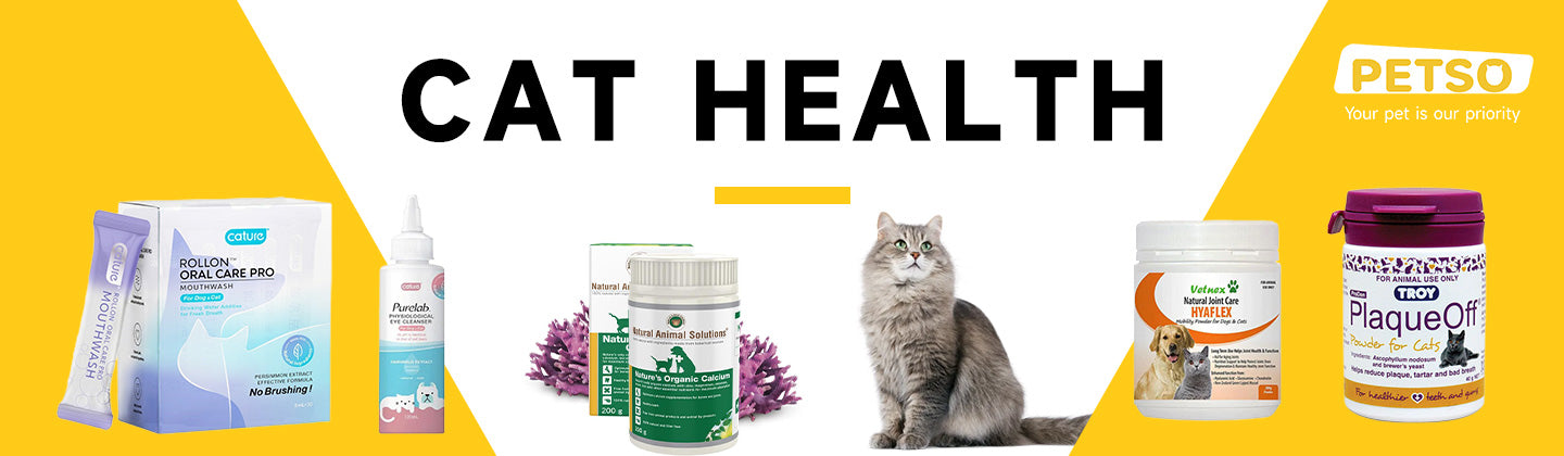 Cat Health