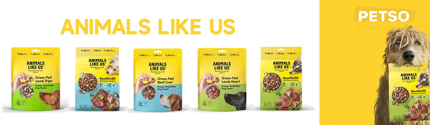 ANIMALS LIKE US