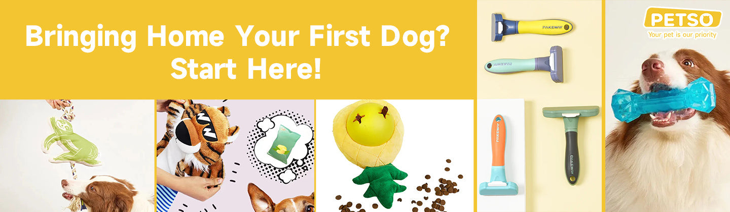 Bringing Home Your First Dog?  Start Here!