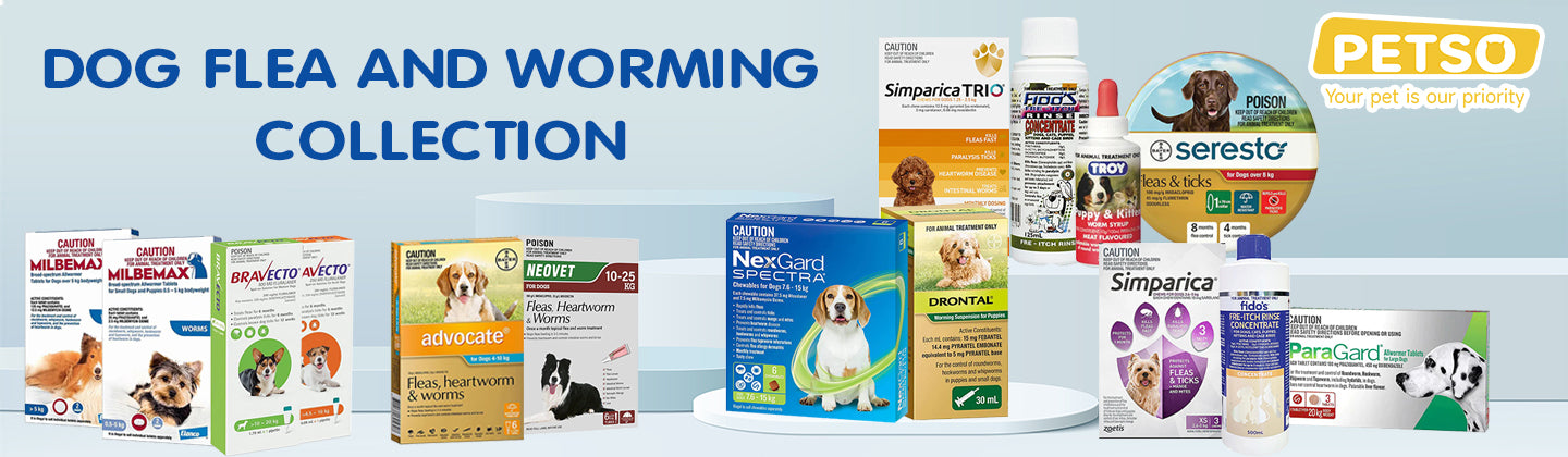 Dog Flea and Worming