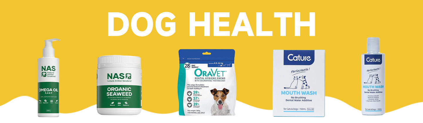 Dog Health