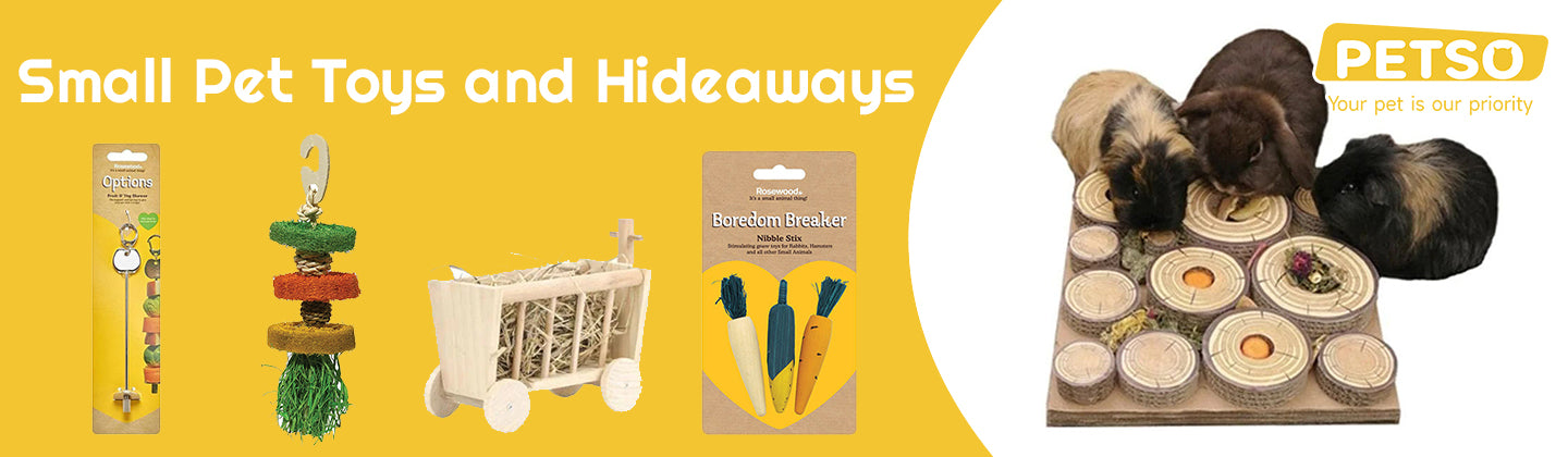 Small Pet Toys and Hideaways