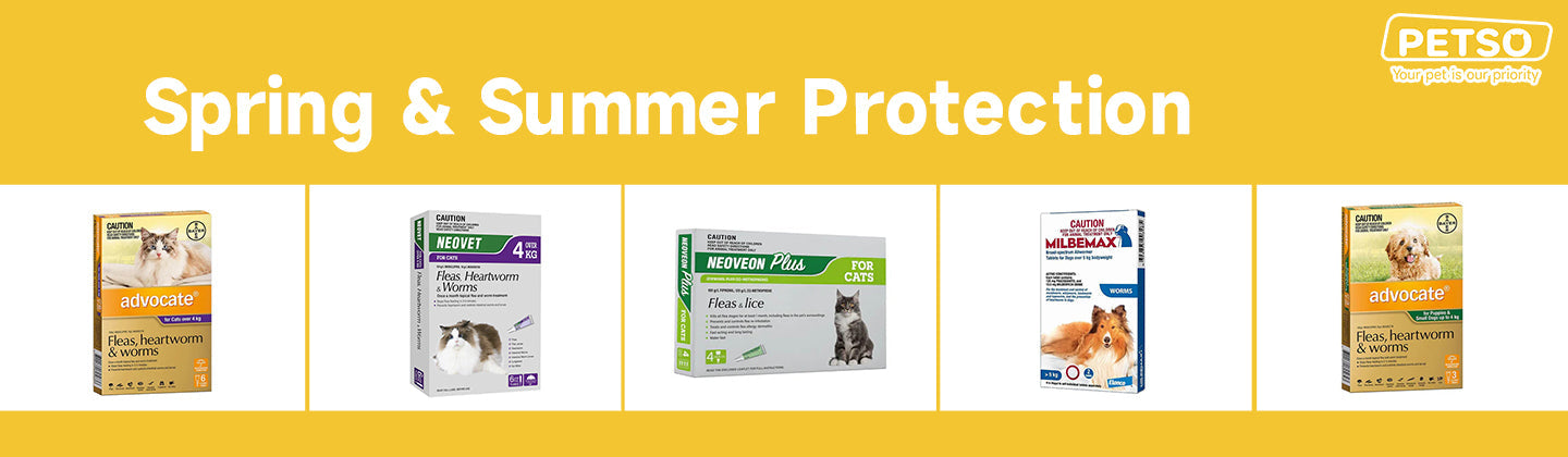 Spring & Summer Protection