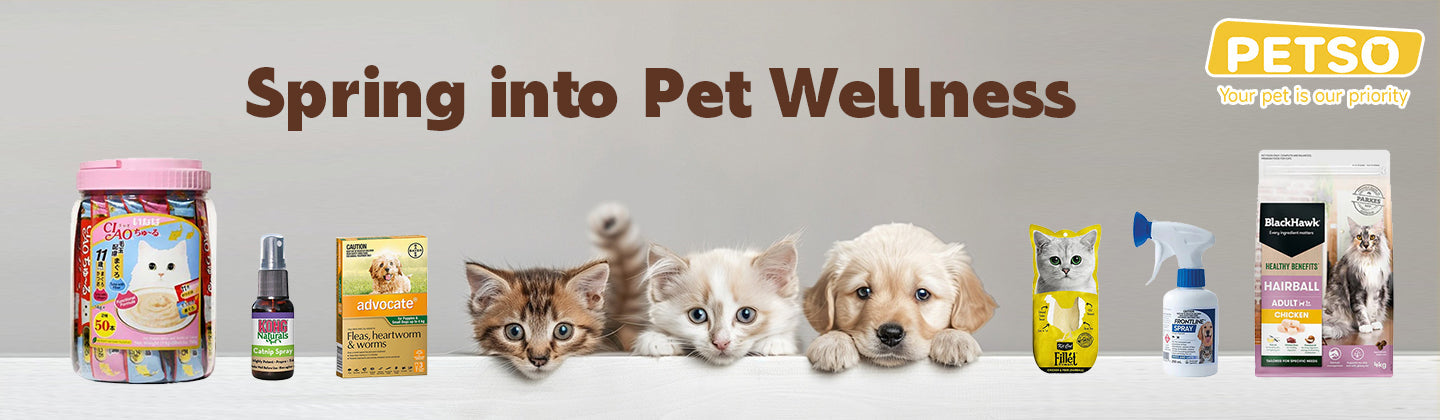 Spring into Pet Wellness