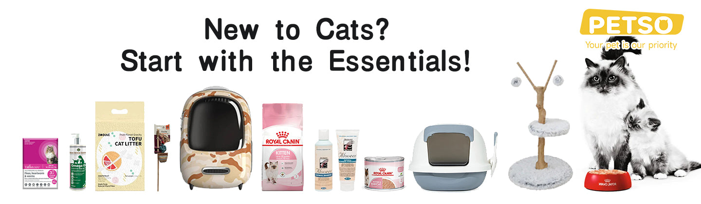 New to Cats?  Start with the Essentials!