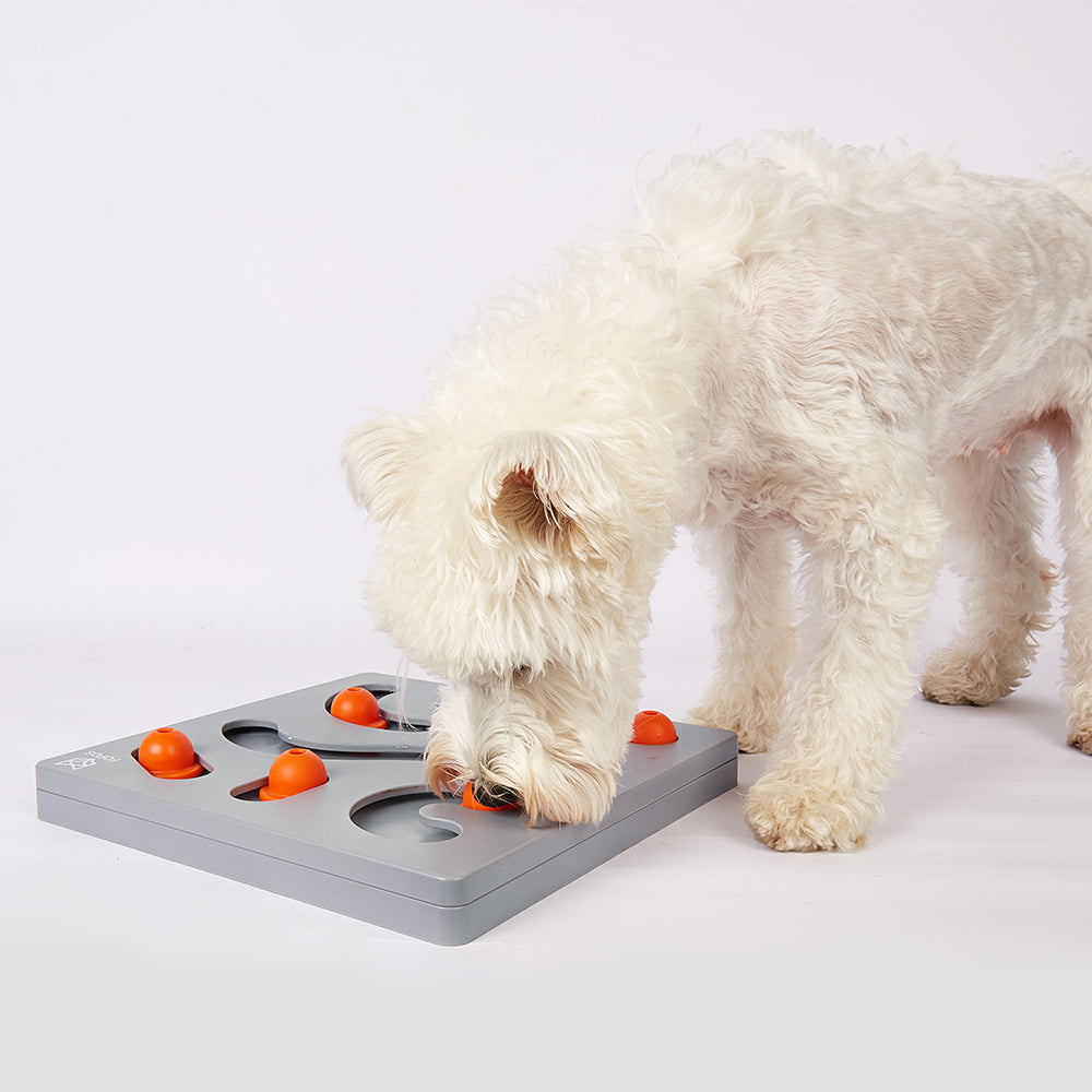 Dog toy treat clearance puzzle