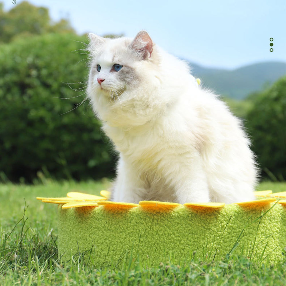 MIAOFAIRY Sunflower Circular Corrugated Paper Cat Scratcher