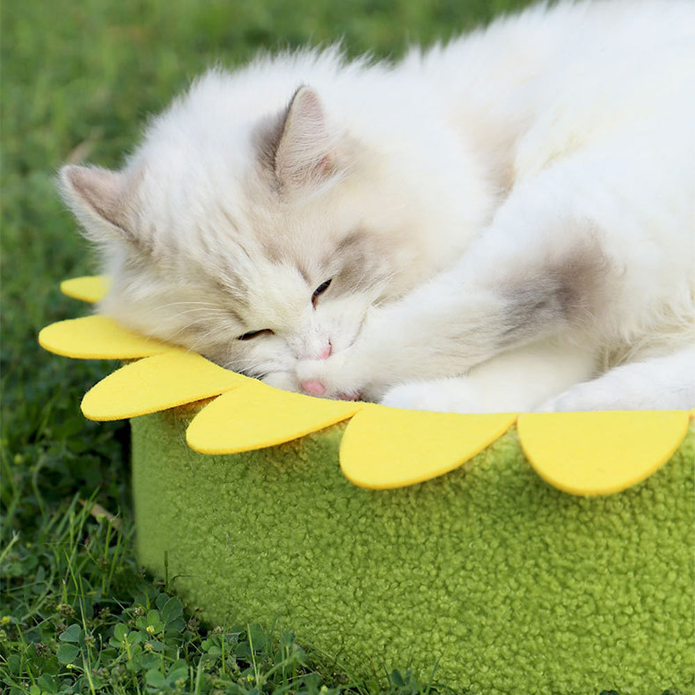 MIAOFAIRY Sunflower Circular Corrugated Paper Cat Scratcher