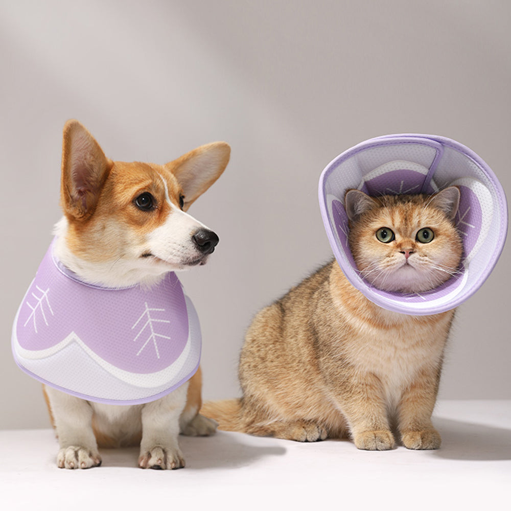 Pet Elizabethan Collar Purple