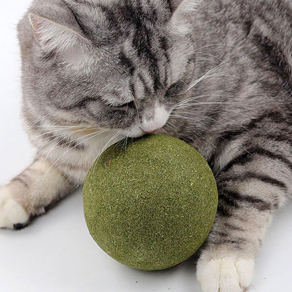 Super Large Self-Entertaining Catnip Ball 10cm