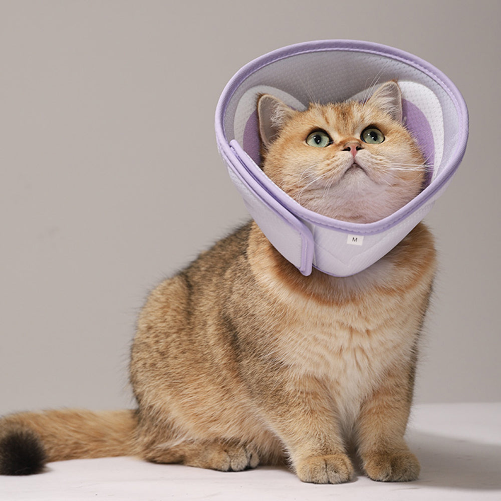 Pet Elizabethan Collar Purple