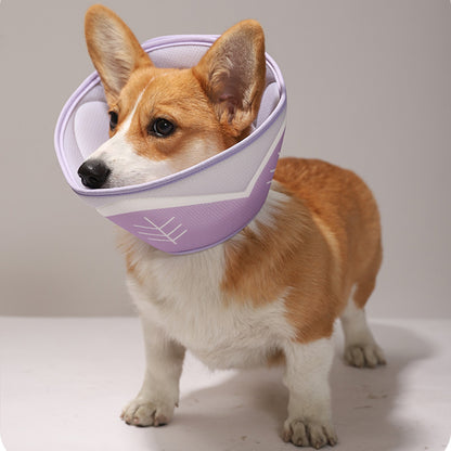 Pet Elizabethan Collar Purple