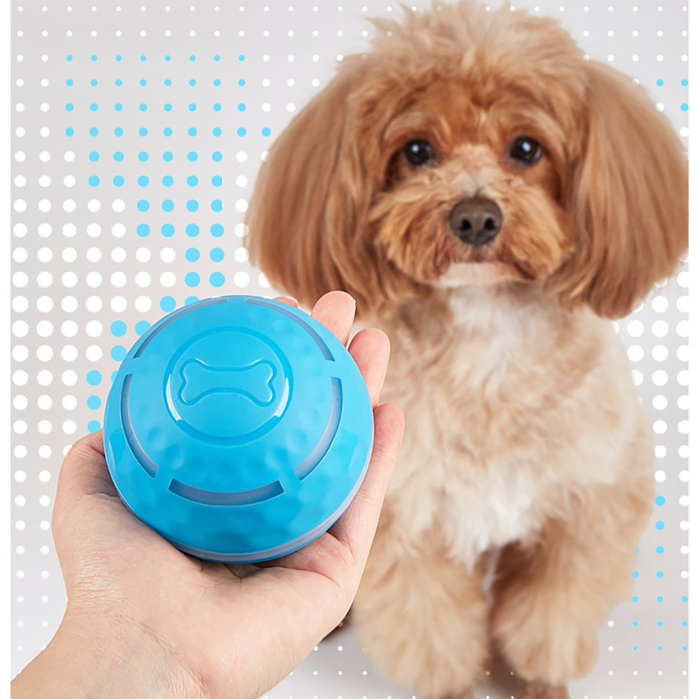 FOFOS Rolling & Flashing Interactive Ball Dog Toy