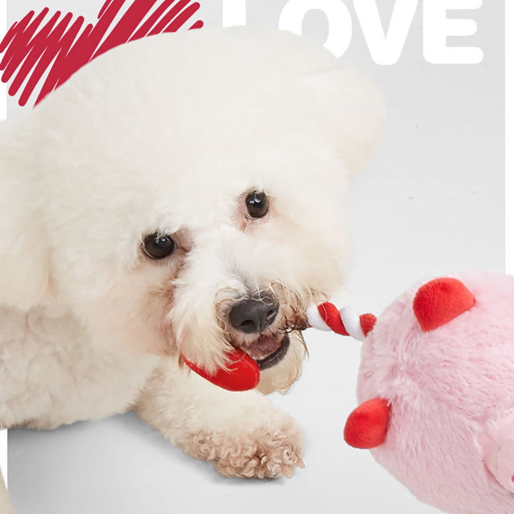 FOFOS Love Pig Plush Squeaky Dog Toy