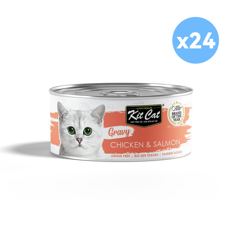 KIT CAT Chicken & Salmon in Gravy Wet Canned Cat Food