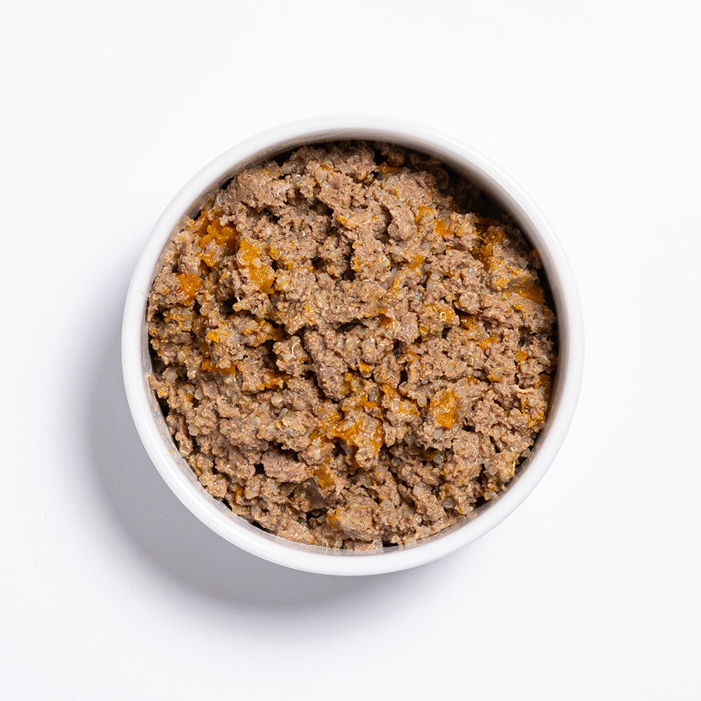 PRIME100 SPD Slow Cooked Wild Boar & Pumpkin Wet Dog Food 354g