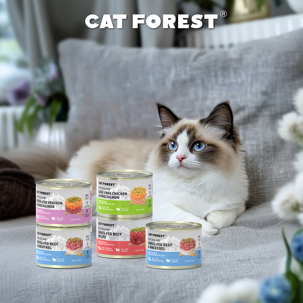 CAT FOREST Grass-Fed Beef & Mackerel Wet Cat Canned Food