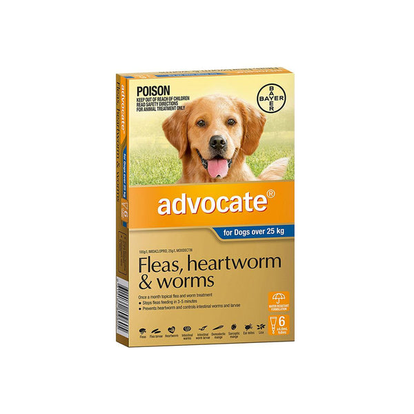 Advocate hot sale cat wormer