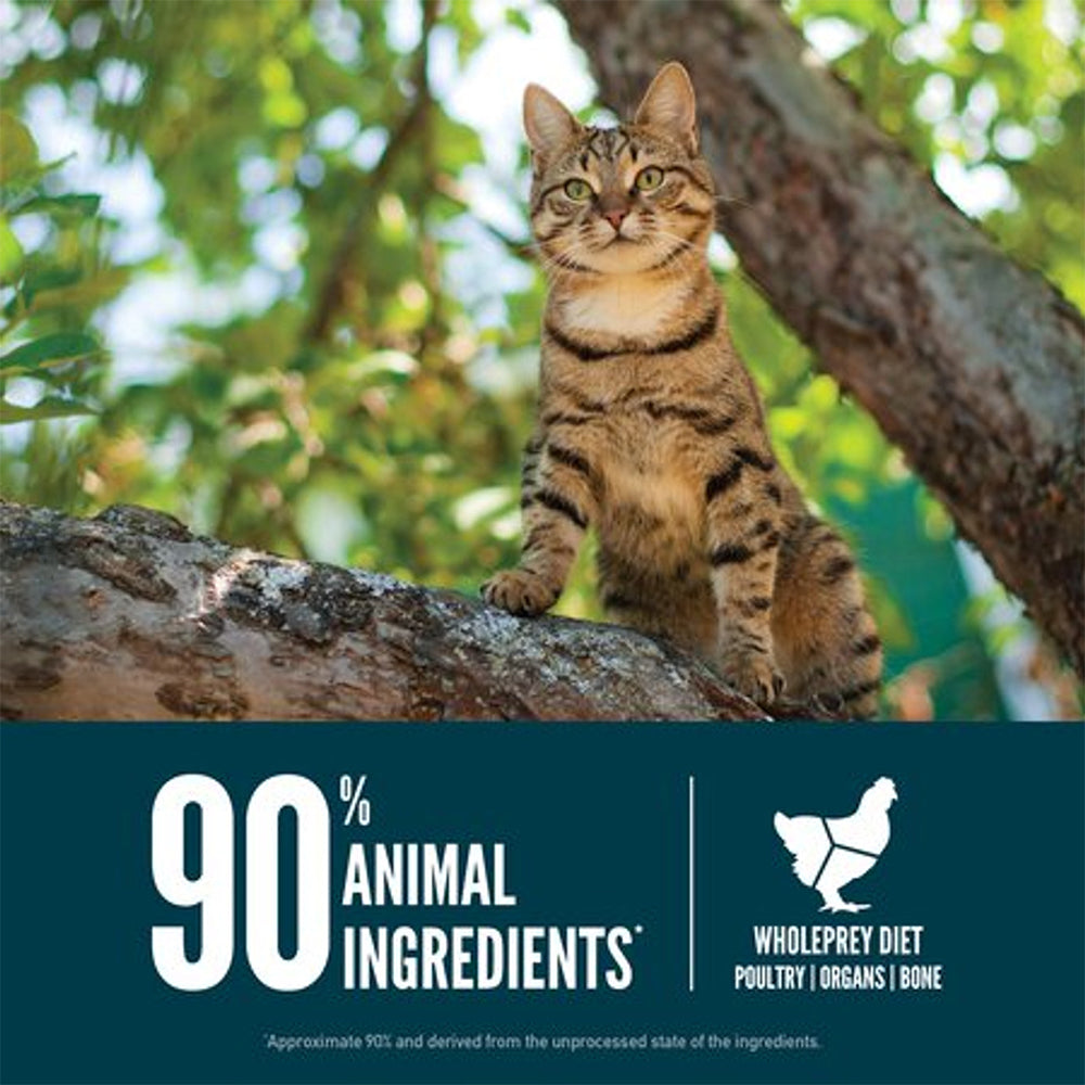 ORIJEN Guardian 8 Biologically Appropriate Dry Cat Food