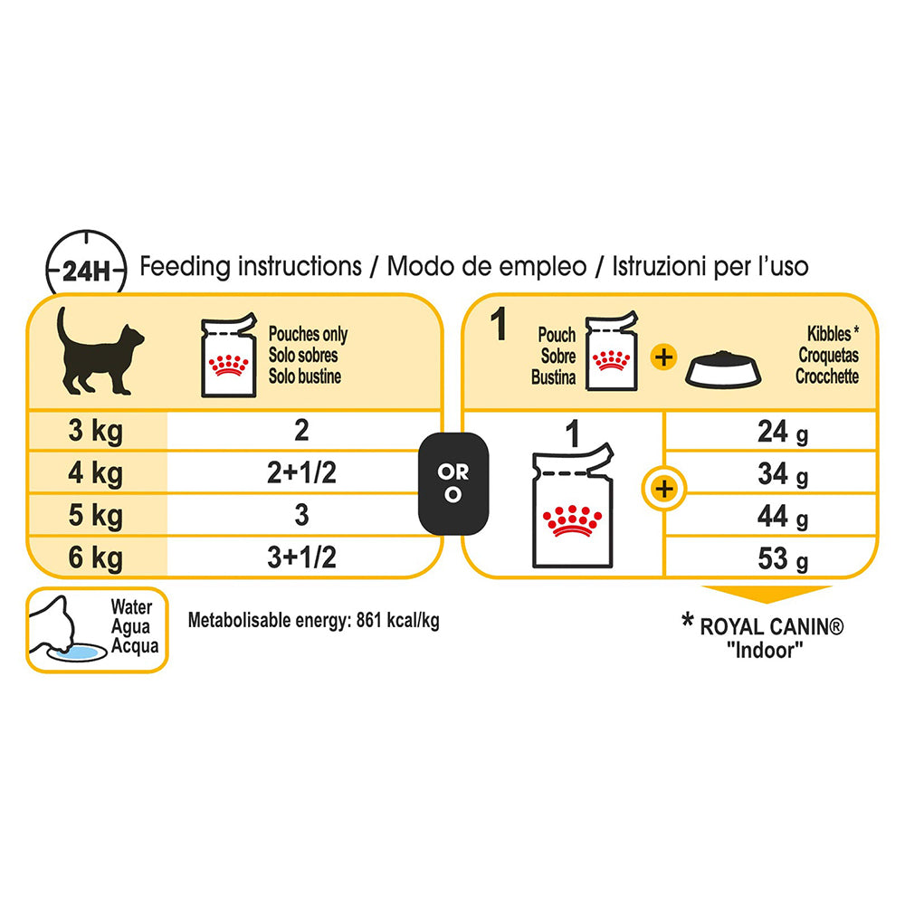 ROYAL CANIN Sensory Taste Gravy Adult Wet Cat Food 85g x 12