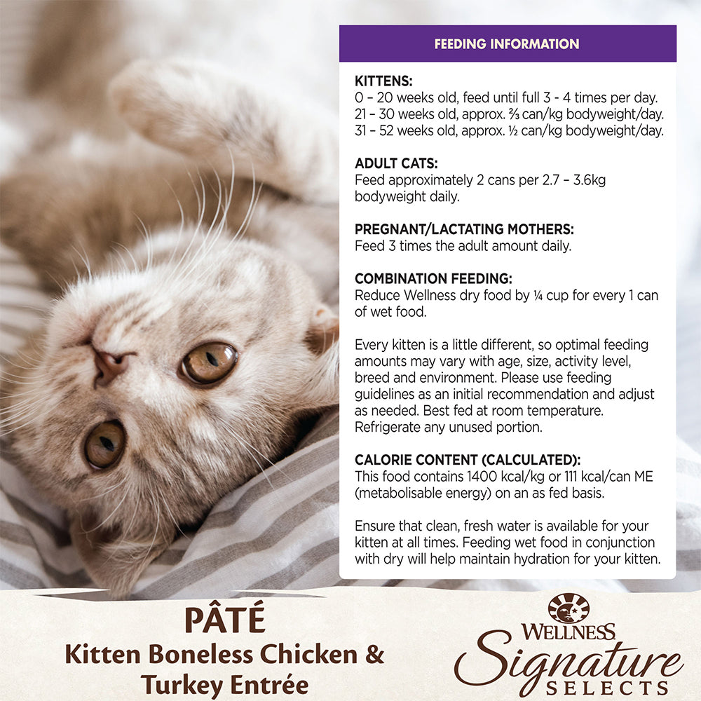 Kitten portion size best sale