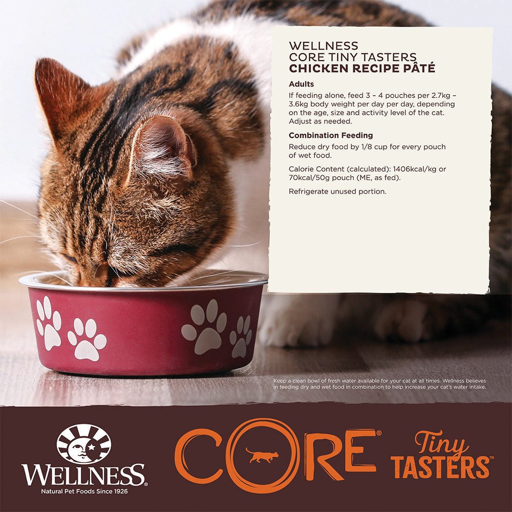 WELLNESS Core Tiny Tasters Smooth Pate Chicken Wet Cat Food 50g x