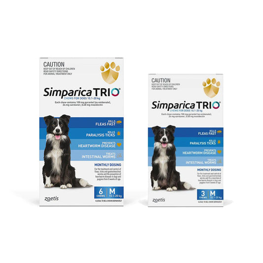 SIMPARICA Trio Medium Dog 10.1-20Kg Blue