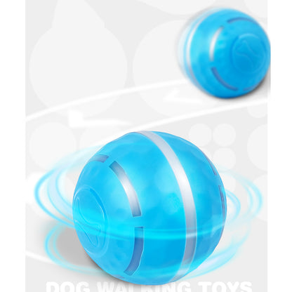 FOFOS Rolling & Flashing Interactive Ball Dog Toy