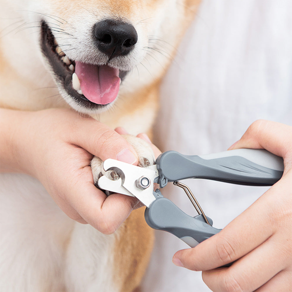 PAKEWAY Aqua Large T9 Dog Nail Clipper