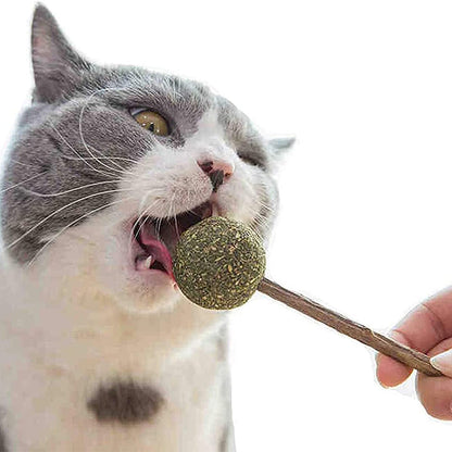 Catnip Lollipops Cat Toy