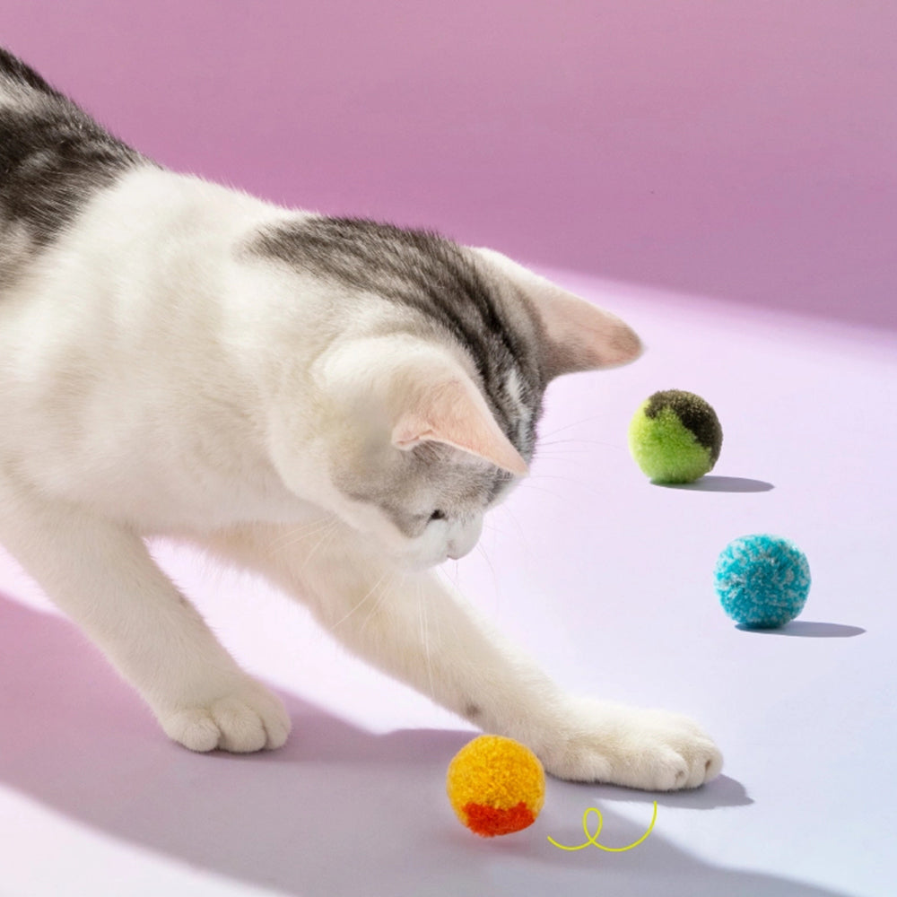 MEWOOFUN Catapult Stick for Cat | Cat Toy | Petso Au