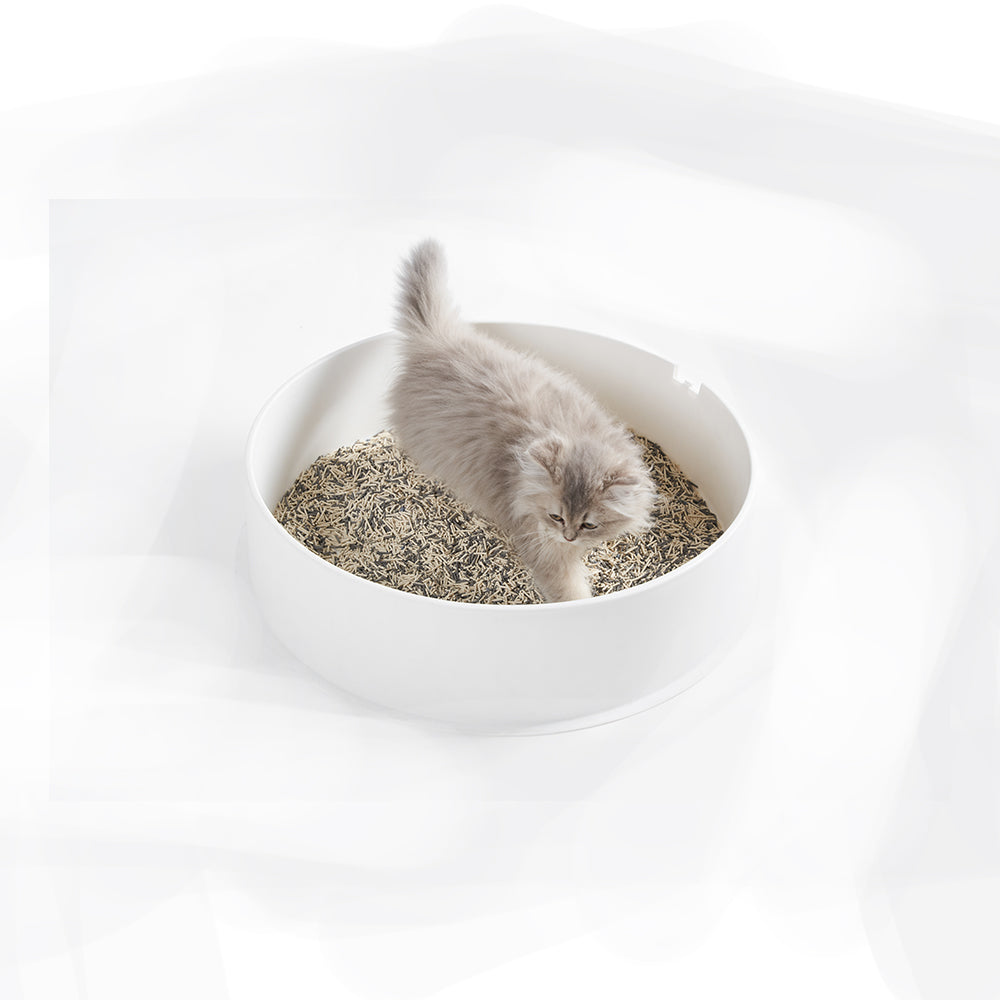 Pidan cat 2024 litter box