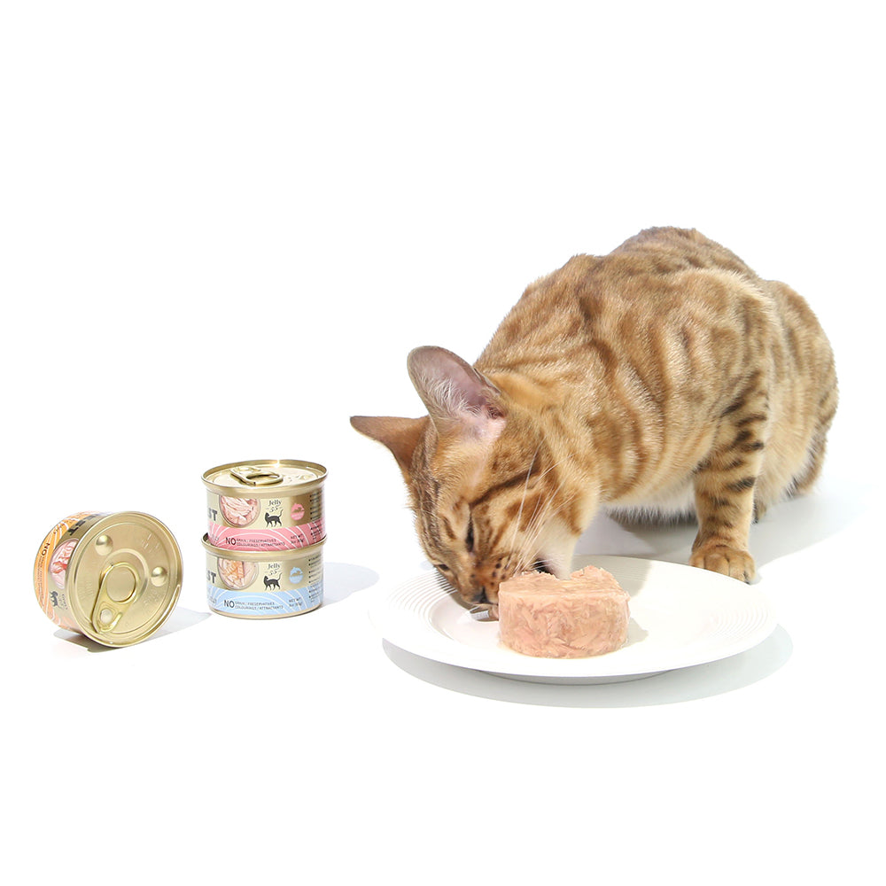 Can you feed cats canned cheap salmon