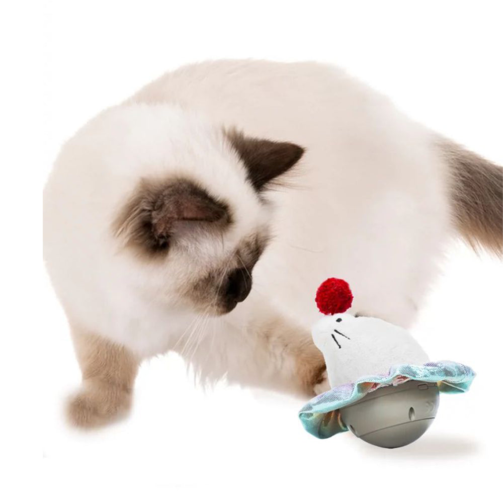 Cat laser shop toy australia