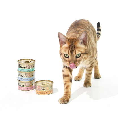 CAT FOREST Premium Tuna White Meat with Chicken in Jelly Canned Cat Food